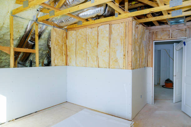 Best Spray Foam Insulation  in Princeton, TX