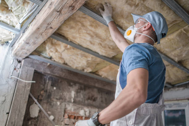 Best Insulation for Existing Homes  in Princeton, TX