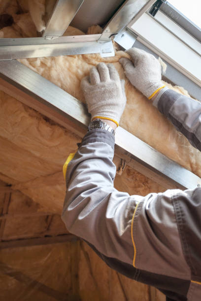 Best Eco-Friendly or Green Insulation Solutions  in Princeton, TX