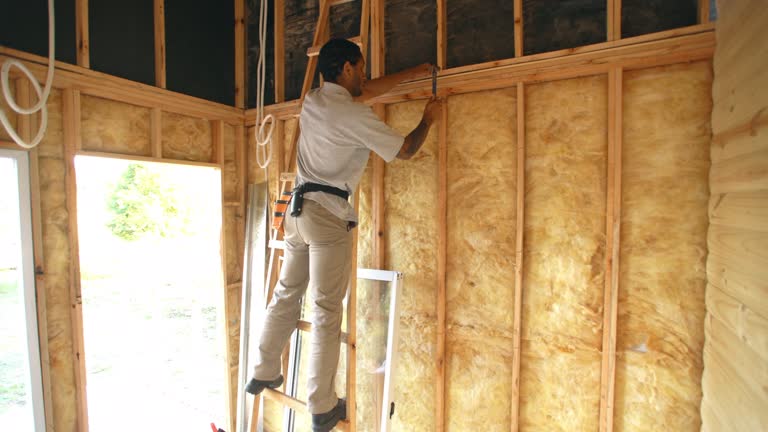 Best Attic Insulation Installation  in Princeton, TX