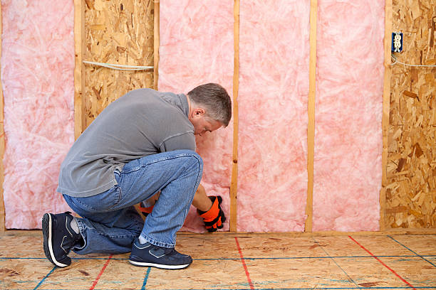 Best Radiant Barrier Insulation  in Princeton, TX